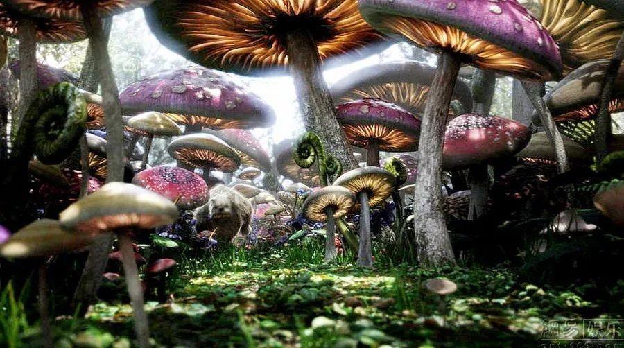 救援贪玩的大象